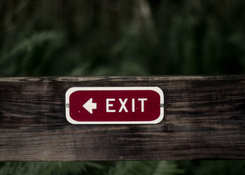 MEMECOIN ludost je ‘neupitno prekomjerno’ dok kriptovaluta kreće prema sazrijevanju, kaže Nic Carter