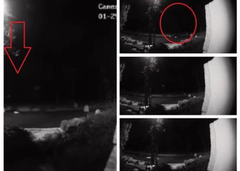 Maloljetniku koji je na zadarskoj šetnici nožem uboo ženu u vrat, određen istražni zatvor