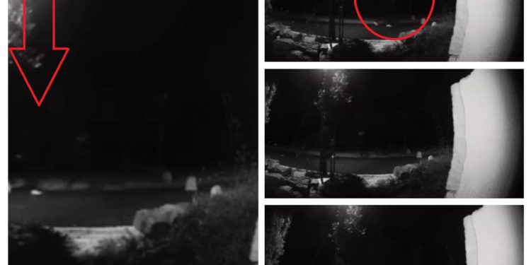 Maloljetniku koji je na zadarskoj šetnici nožem uboo ženu u vrat, određen istražni zatvor