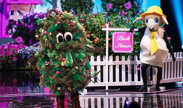 Maskirani navijači pjevača tvrde da su promucali Bushov identitet jer kažu da je “smiješno očito” – nakon velikog poteza u karijeri zvijezda