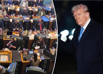 Mjera protiv Trumpa zanemaruje ‘rastući kriminal’ i ‘troškove života’: plava država GOP