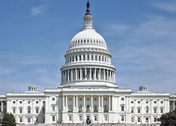 Može li Bucky, 110-godišnji bivši assin, trčati za Kongres?