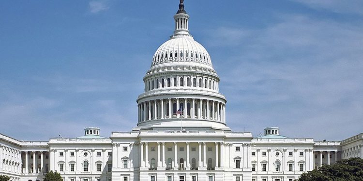 Može li Bucky, 110-godišnji bivši assin, trčati za Kongres?