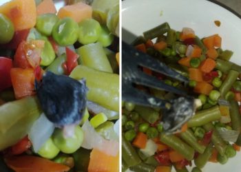 NEUGODNO ISKUSTVO MOSTARKE Pravila ručak pa u zamrznutom đuveču pronašla glavu miša