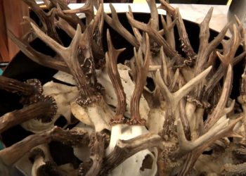 Na Bljak festu u Omišlju kuhala se zaboravljena jela pučke gastronomije