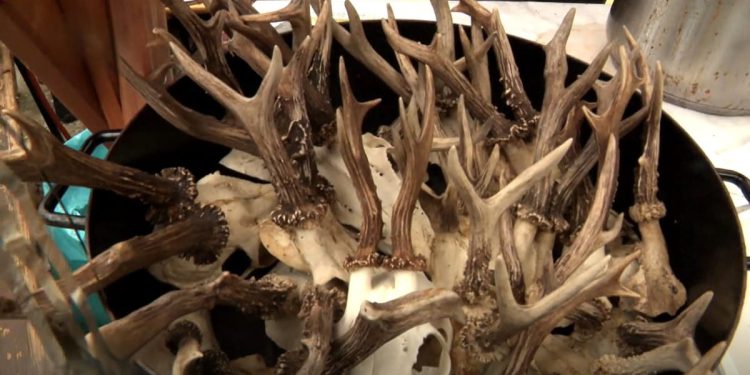 Na Bljak festu u Omišlju kuhala se zaboravljena jela pučke gastronomije