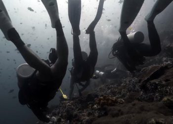 Napad na Filipini morski pas ostavlja 2 turiste mrtve na mjestu ronjenja