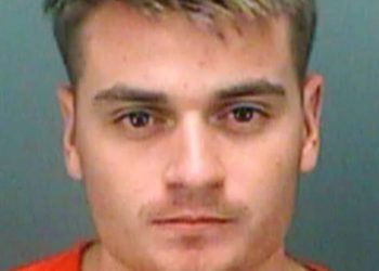 Neonacistički vođa osuđen za planiranje napajanja električne mreže