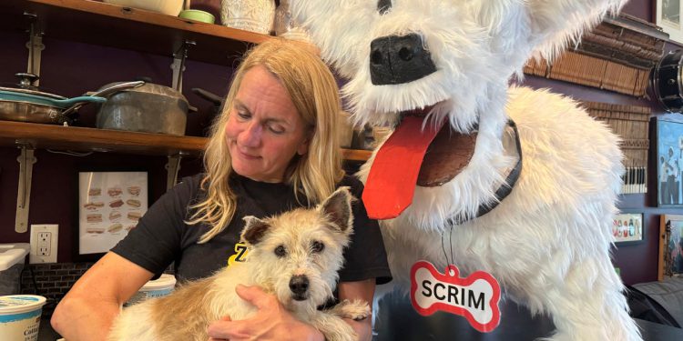 Odbjegli pas napokon je ponovno privučen u New Orleansu nakon što je stekao nacionalnu slavu za svoje eskapade