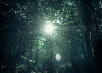 Otac i sin izgubljeni u divljini preživjeli na čudesan način: ‘Dogodilo se čudo’