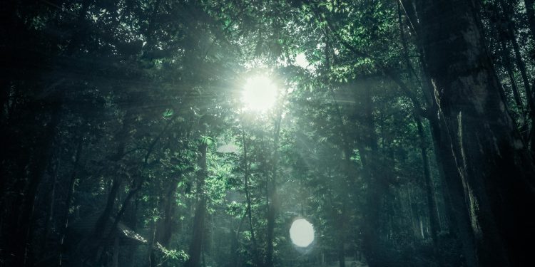 Otac i sin izgubljeni u divljini preživjeli na čudesan način: ‘Dogodilo se čudo’