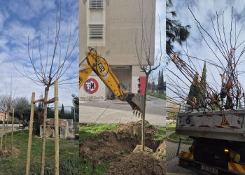 Ovo će razveseliti Spinućane: Dvije ulice danas su obogaćene za 32 stabla