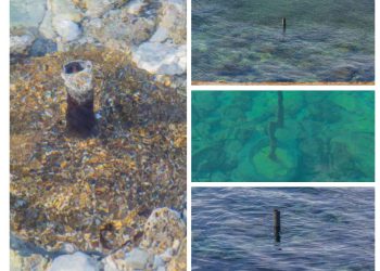 Ovo može biti gadno! Na Pulskim Valkanama iz mora kupačima prijeti velika opasnost