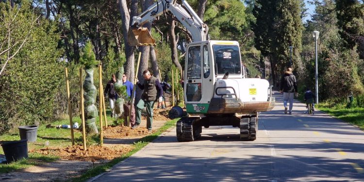Ozelenjuje se Split. Sadi se na Marjanu, ali i oko polupodzemnih kontejnera