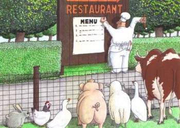 Patka s mlincima – Dubrovački dnevnik