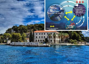 Porast temperature mora utječe i na nevidljivi svijet mikroskopskih organizama