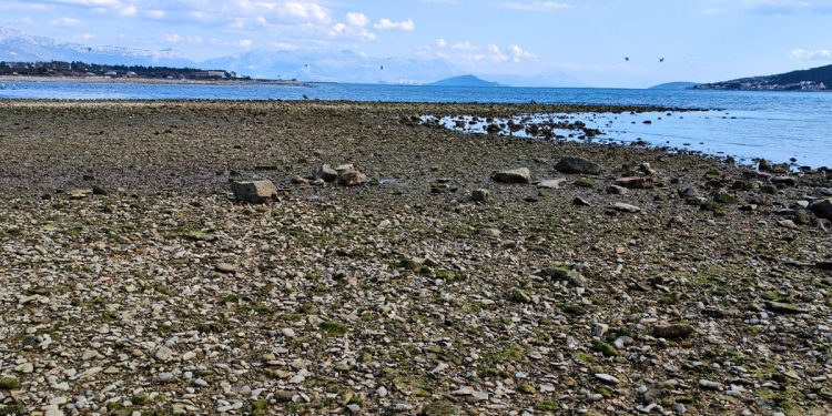 Projekt BlueDiversity u misiji zaštite Jadrana od invazivnih vrsta