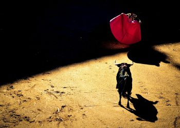 RWA tokens ondo, mantra OM, Chintaijev Chex vodeći kriptovalut nadmašio je dobitak od BTC -a