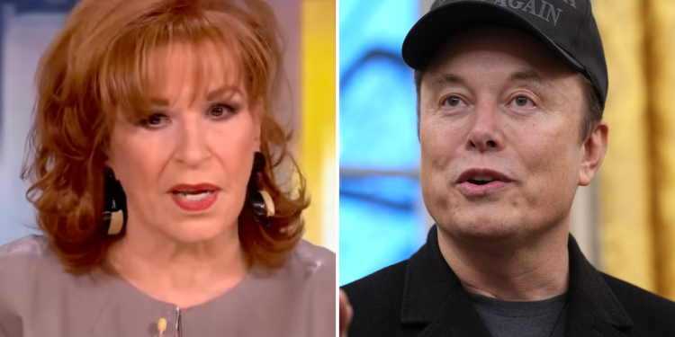 Radost View Behar vraća Elon Musk nakon što je rekao da je “pro-apartheid”