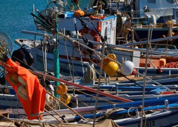 Ribarske zadruge Zadar i Omega dobile Ribarsku luku u Gaženici u koncesiju na 10 godina