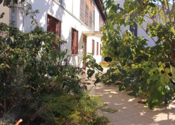 Sanitat počinje preventivnu deratizaciju na javnim površinama, i građani mogu pomoći