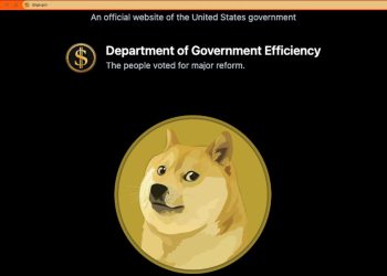 Šest tehnika jedva izvan fakulteta pomažući Musku da demontira saveznu vladu: Izvještaj