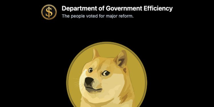 Šest tehnika jedva izvan fakulteta pomažući Musku da demontira saveznu vladu: Izvještaj