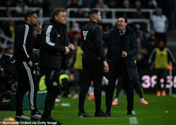 Službeno izvješće otkriva sve detalje o Aston Vili i Newcastleovoj tunelskoj svađi s 20 ljudi – uključujući jauk o pomoćniku Newcastlea Jason -a Tindalla koji nosi Wham! kapuljača