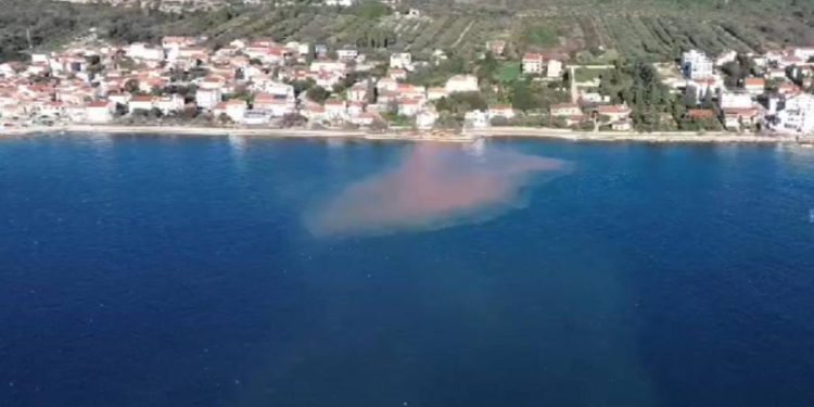 Ilovača uništava morsko dno u Zadru: "Ovo je još jedna posljedica pomahnitalih građevinskih radova!"