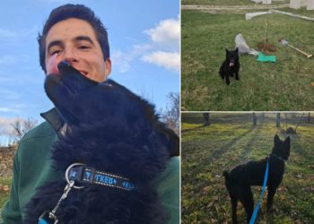 Specijalac iz Azila Dubrovnik: Zony je bio udomljen, pa vraćen, ali sreća mu se ponovno osmjehnula