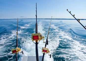 Sportske i rekreacijske ribolovne dozvole za 2025.