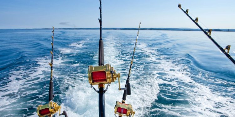 Sportske i rekreacijske ribolovne dozvole za 2025.