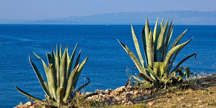 Sunčano i hladno uz umjerenu buru