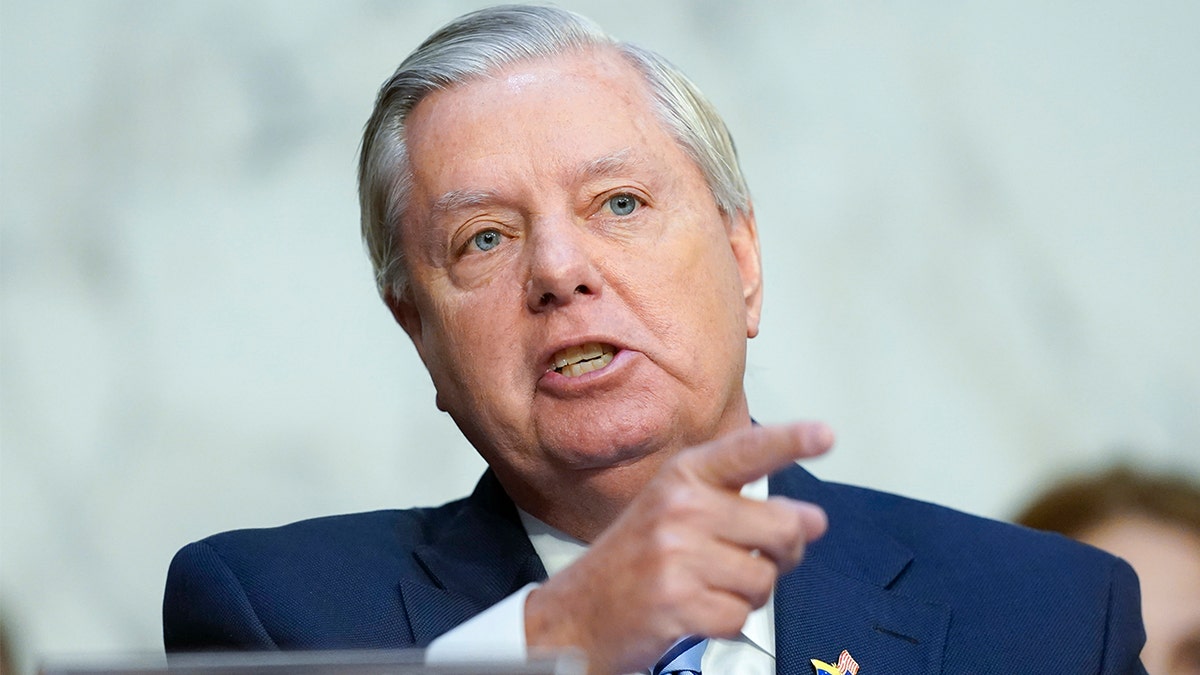 Lindsey Graham Closeup pucan