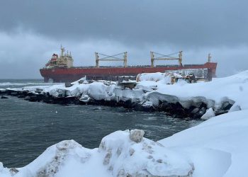 Teretni brod nasukao je ruski Sahalin – RT Rusija i bivši Sovjetski Savez