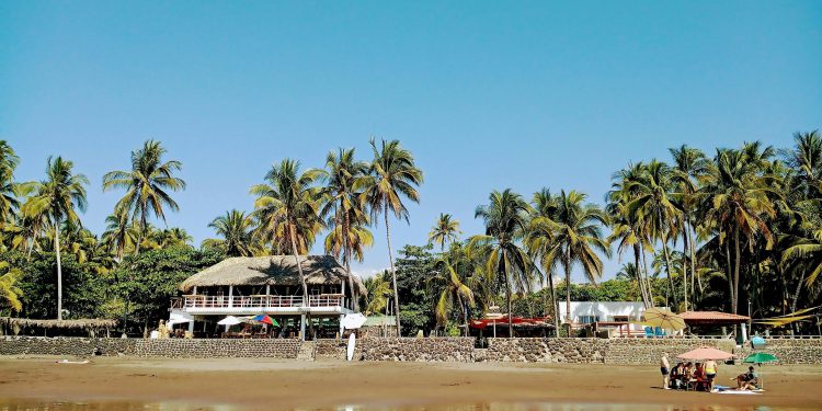 The Origins of the Bitcoin Experiment