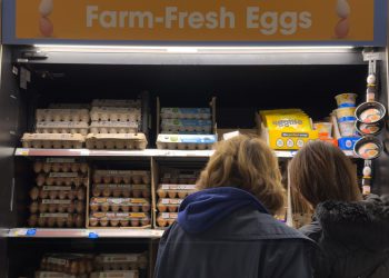 Tragač cijena jaja: Koliko košta desetak jaja u Americi