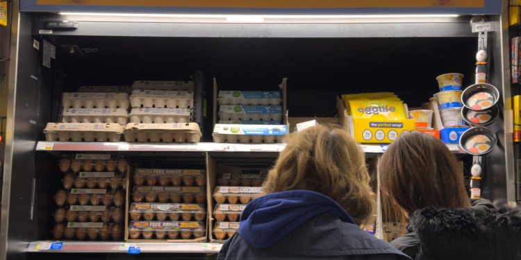 Tragač cijena jaja: Koliko košta desetak jaja u Americi