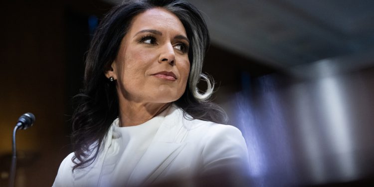 Tulsi Gabbard napreduje prema potvrdi kao Intel Chief – RT World News