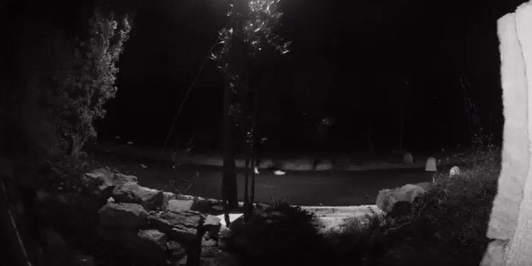 Uhićen maloljetnik koji je nožem ubo u vrat ženu koja je trčala u Zadru