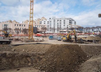 Uklanja se drvored pelegrinki iz Bračke ulice, premjestit će ih na novu lokaciju