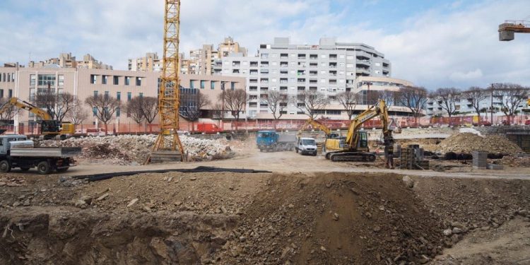 Uklanja se drvored pelegrinki iz Bračke ulice, premjestit će ih na novu lokaciju