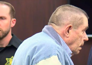 Umirovljenik koji je pucao u crnog tinejdžera koji je pogrešno nazvao njegovih vrata, priznaje krivnju za manje punjenja