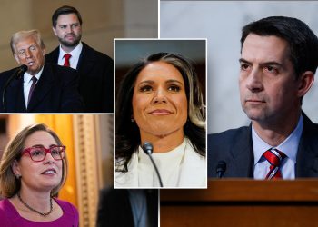 Unutar neumorne kampanje senatora Toma Cottona za unapređenje Trumpovog DNI -a odabira Tulsi Gabbard