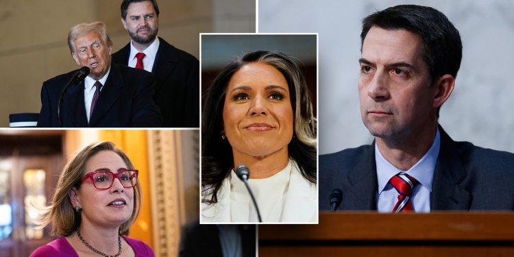 Unutar neumorne kampanje senatora Toma Cottona za unapređenje Trumpovog DNI -a odabira Tulsi Gabbard