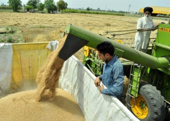 Uspostavljanje Agrarnog saveza unutar BRICS-a: Ekonomski i strateški razlozi