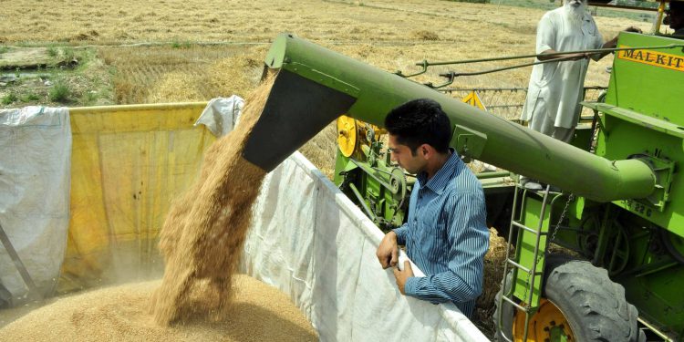 Uspostavljanje Agrarnog saveza unutar BRICS-a: Ekonomski i strateški razlozi