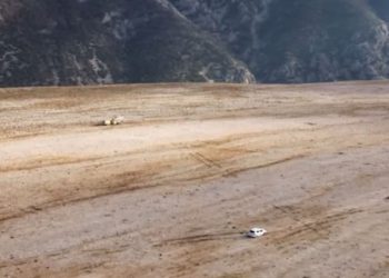 VIDEO Stolačka vlast prenamjenjuje državno zemljište za solarne panele – mještani protiv