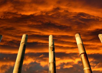 Vatikan sazvao izvanrednu konferenciju o kraju svijeta: ‘Evo što se zapravo sprema’