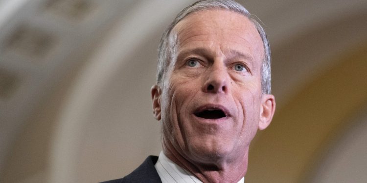 Vođa većine Senata Thune kaže da je to razlog zašto on i Trump dobro rade zajedno